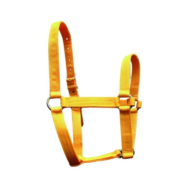 JAQUIMA NYLON POTRILLO