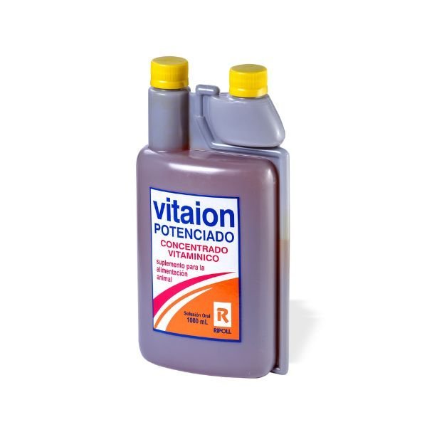 MULTIVITAMÍNICO VITAION 1 LITRO