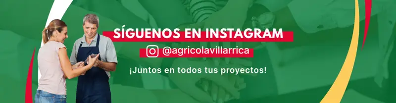 banner-instagram-4-1536x400